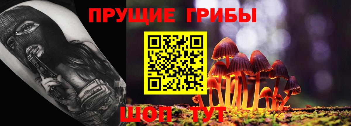 Ижевск  купить наркотики сайты  Вход с VPN  Галлюциногенные грибы Psilocybe  Галлюциногенные грибы MAGIC MUSHROOMS 